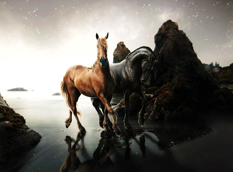 Two Horses on Beach