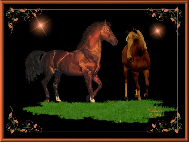 Two Horses on Grass
