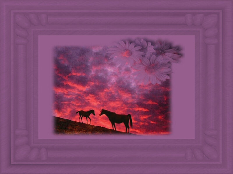 Two Horses on Hill