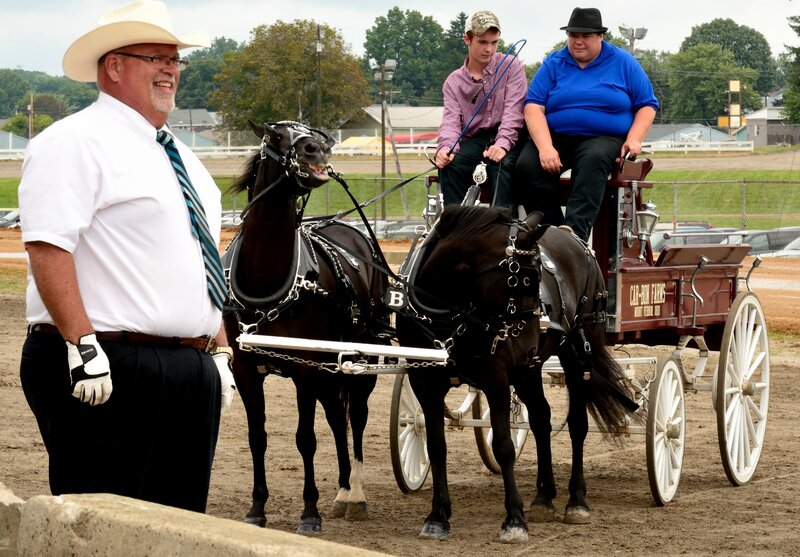 Two Horses Pulling a Carriage — Brown, Outdoor