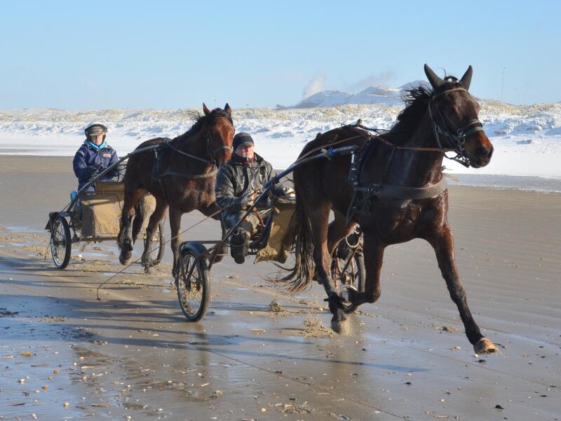 Two Horses Pulling a Cart