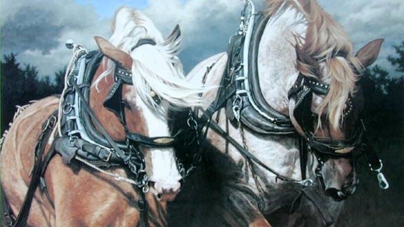Two Horses Pulling — Brown