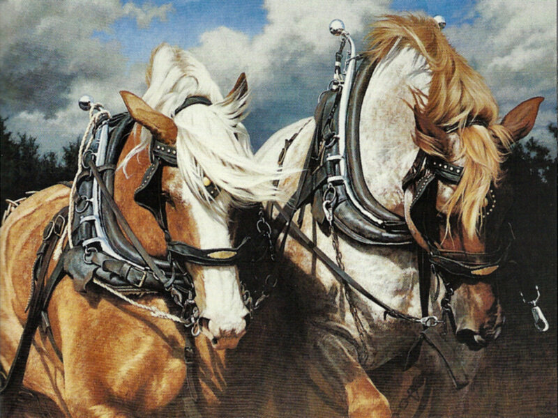 Two Horses Pulling