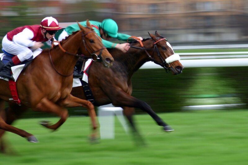 Two Horses Racing — Brown, Dynamic