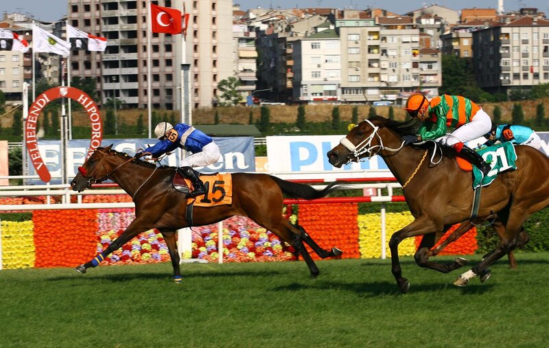 Two Horses Racing — Green