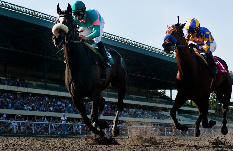 Two Horses Racing