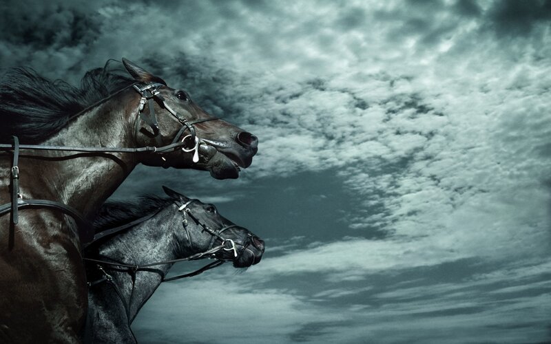 Two horses racing under stormy sky