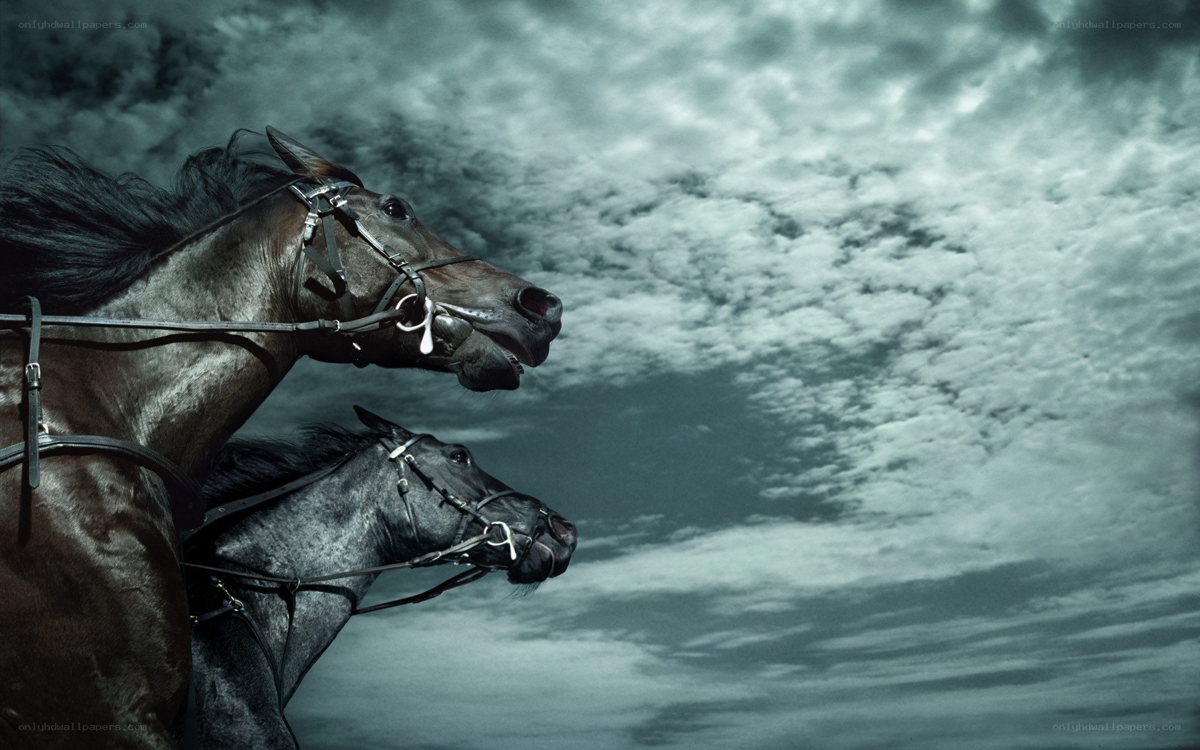Two horses racing under stormy sky