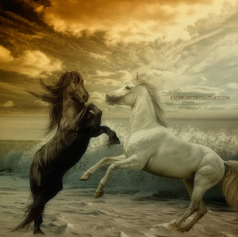 Two Horses Rearing — White