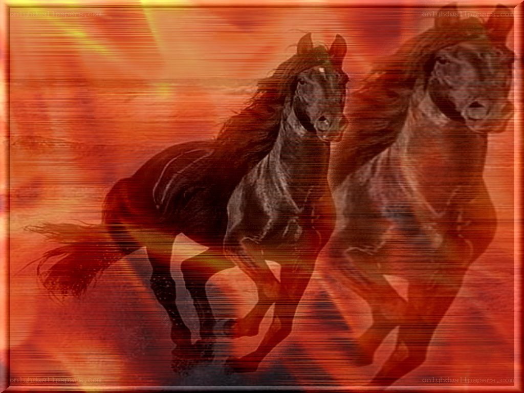 Two horses running at sunset