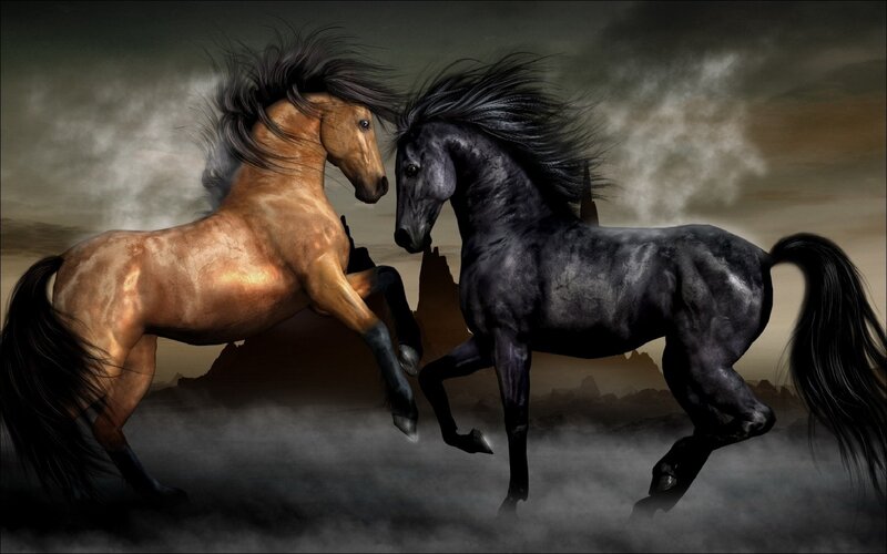 Two Horses Running — Black, Dramatic, Night