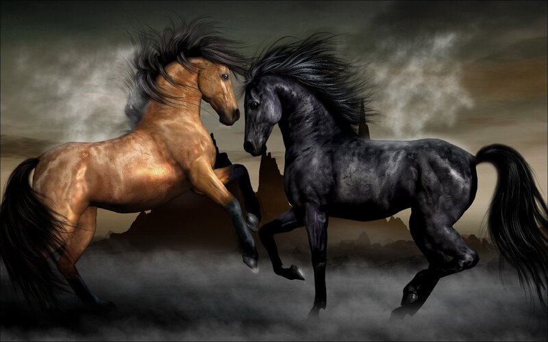 Two Horses Running — Black, Dramatic, Sunset