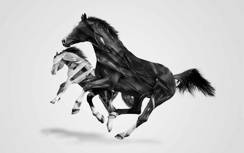 Two Horses Running — Black