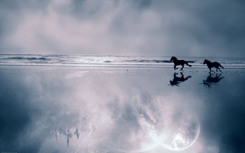 Two Horses Running — Blue, Dramatic, Night, Photograph