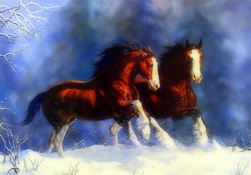 Two Horses Running — Blue, Dramatic, Winter