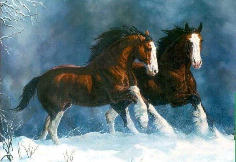 Two Horses Running — Brown, Dramatic, Winter, Painting, Snow