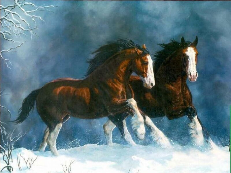 Two Horses Running — Brown, Dramatic, Winter, Painting