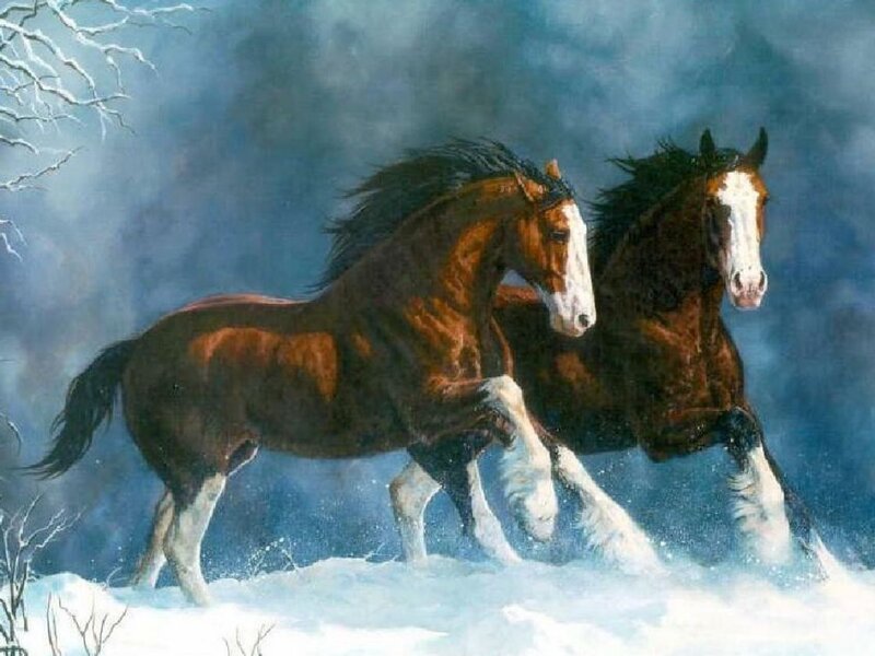 Two Horses Running — Brown, Dramatic, Winter