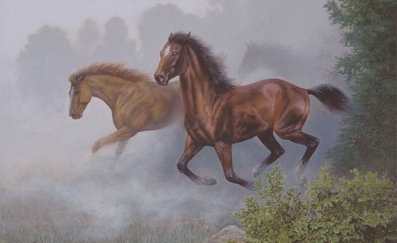 Two Horses Running — Brown, Misty
