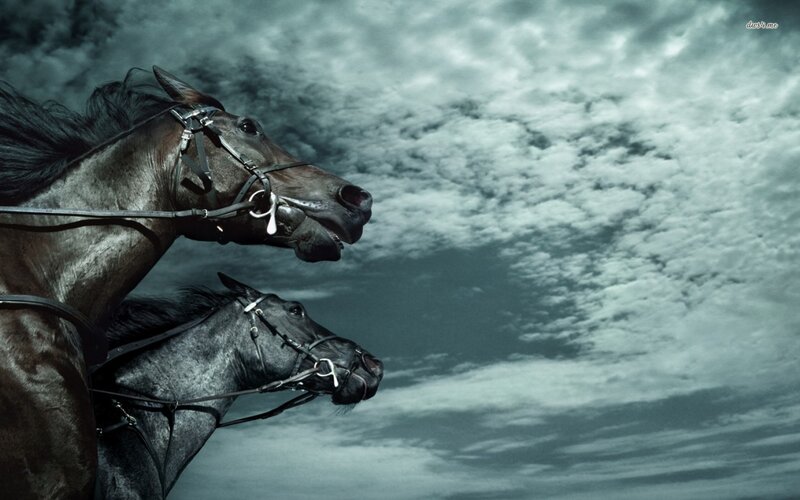 Two Horses Running — Gray, Dramatic, Photograph, Sky, Clouds, Bridle