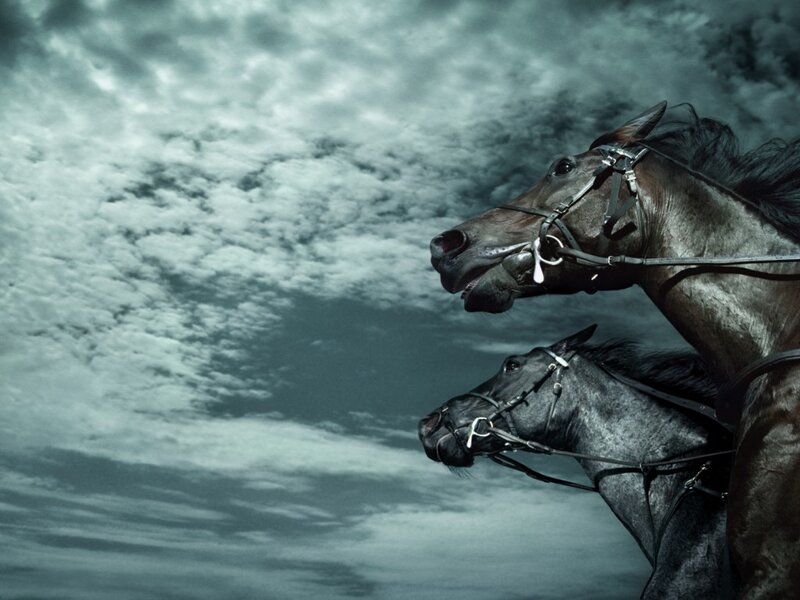 Two Horses Running — Gray, Dramatic, Photograph, Sky, Clouds
