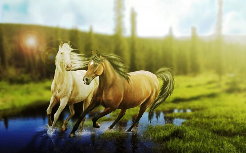 Two Horses Running — Green, Dynamic, Afternoon