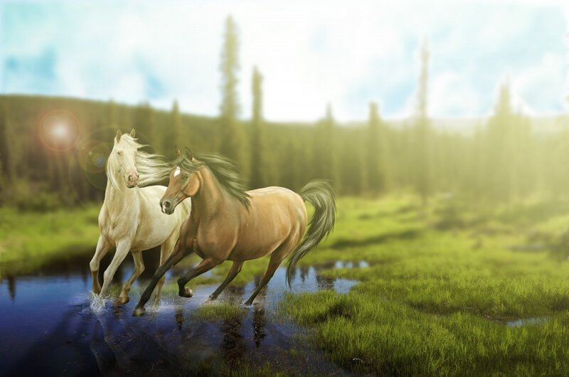 Two Horses Running — Green, Serene, Afternoon, Digital Art