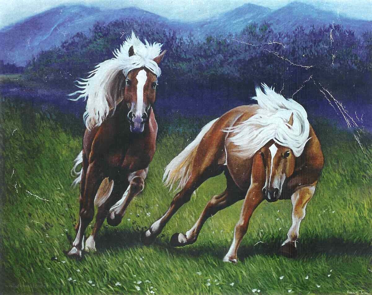 Two horses running in a field