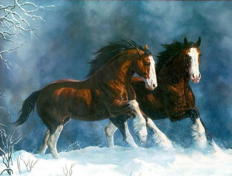 Two Horses Running in Snow — Brown