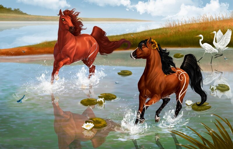 Two Horses Running in Water — Brown, Serene