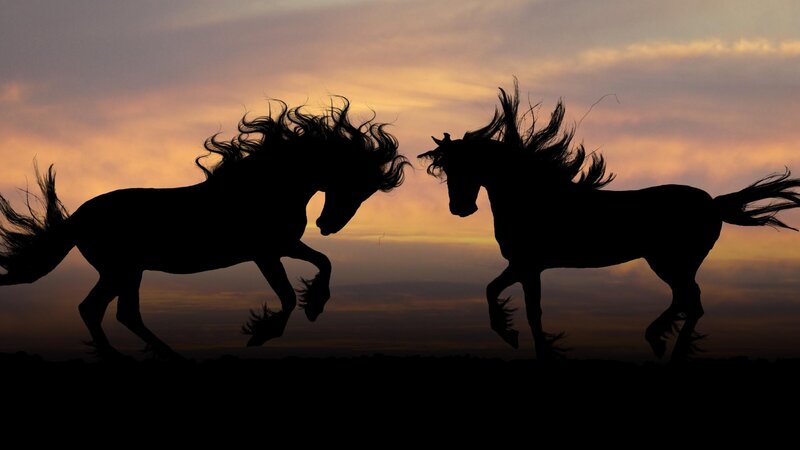 Two Horses Running — Orange, Dramatic, Sunset, Photograph, Sky, Silhouette