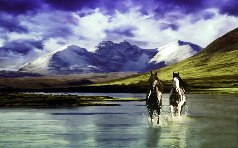 Two Horses Running — Purple, Dramatic