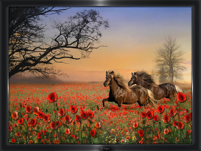 Two Horses Running — Red