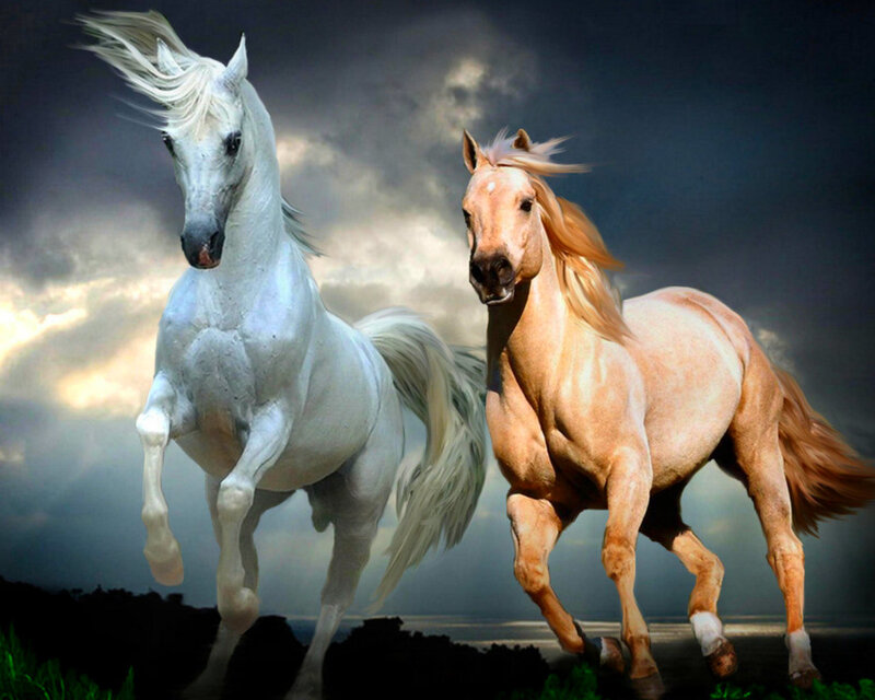 Two Horses Running — White, Dramatic, Digital Art