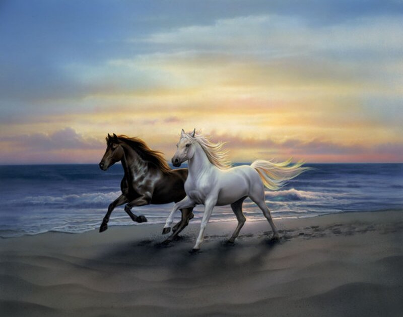 Two Horses Running — White, Serene