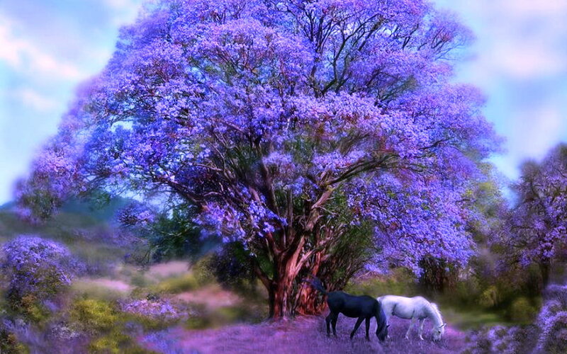 Two Horses under Tree