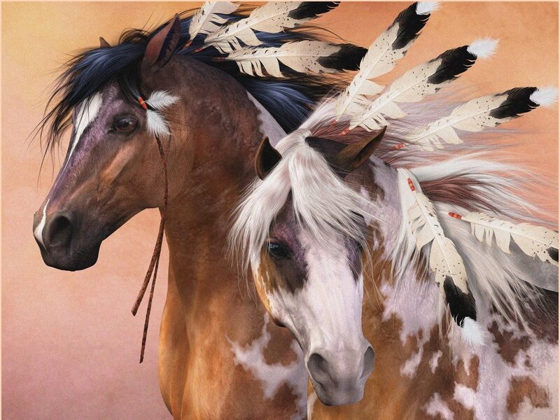 Two Horses with Feathers