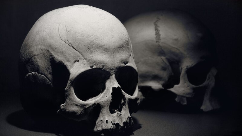 Two Human Skulls — Black