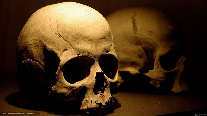 Two human skulls in dim light