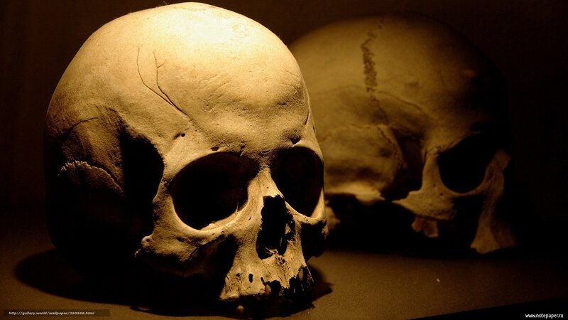 Two Human Skulls