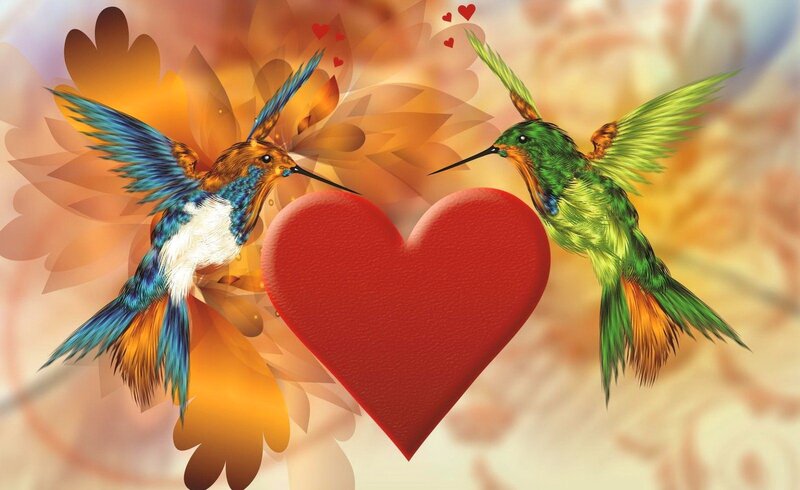Two Hummingbirds and a Heart