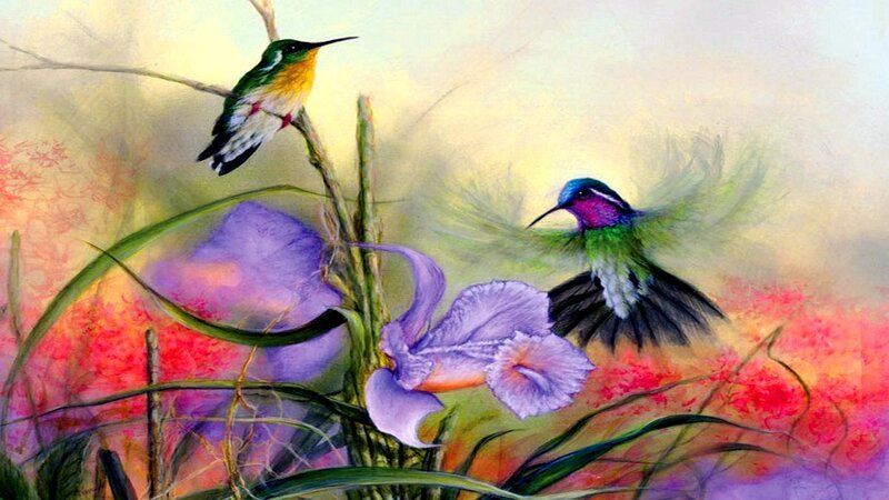 Two Hummingbirds and Flowers — Purple
