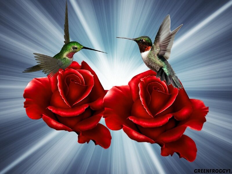 Two Hummingbirds and Roses