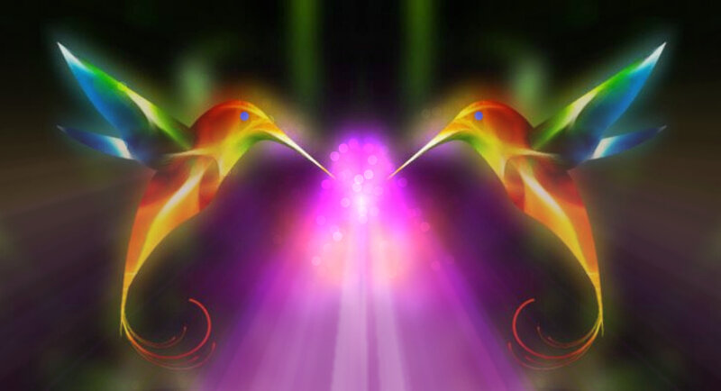 Two Hummingbirds Facing