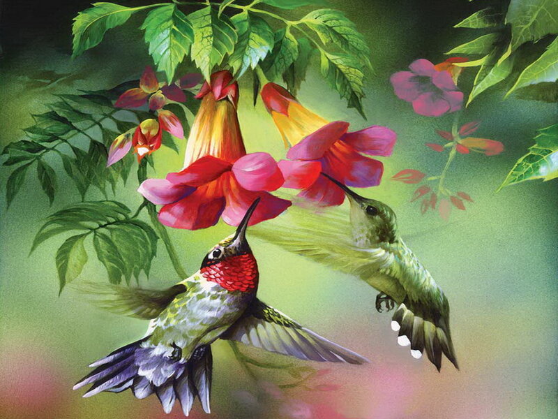 Two Hummingbirds Feeding — Green