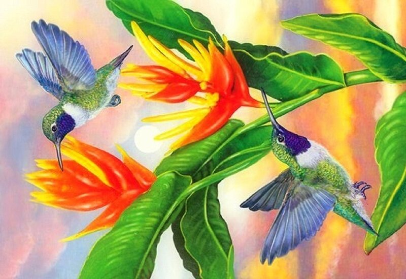 Two Hummingbirds Feeding — Green, Vibrant