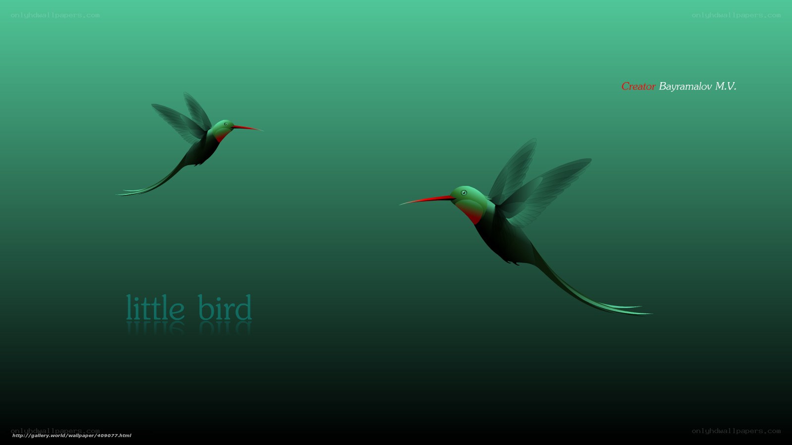 two hummingbirds in flight