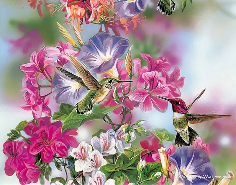 Two Hummingbirds in Flowers — Pink