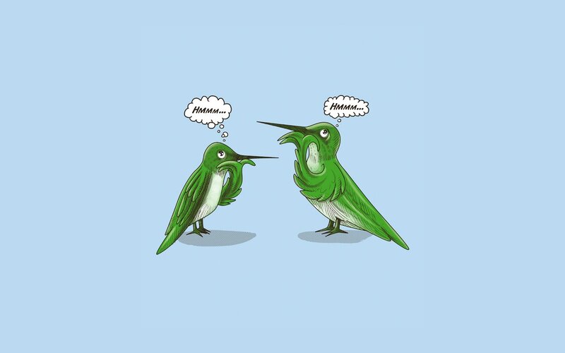 two hummingbirds thinking