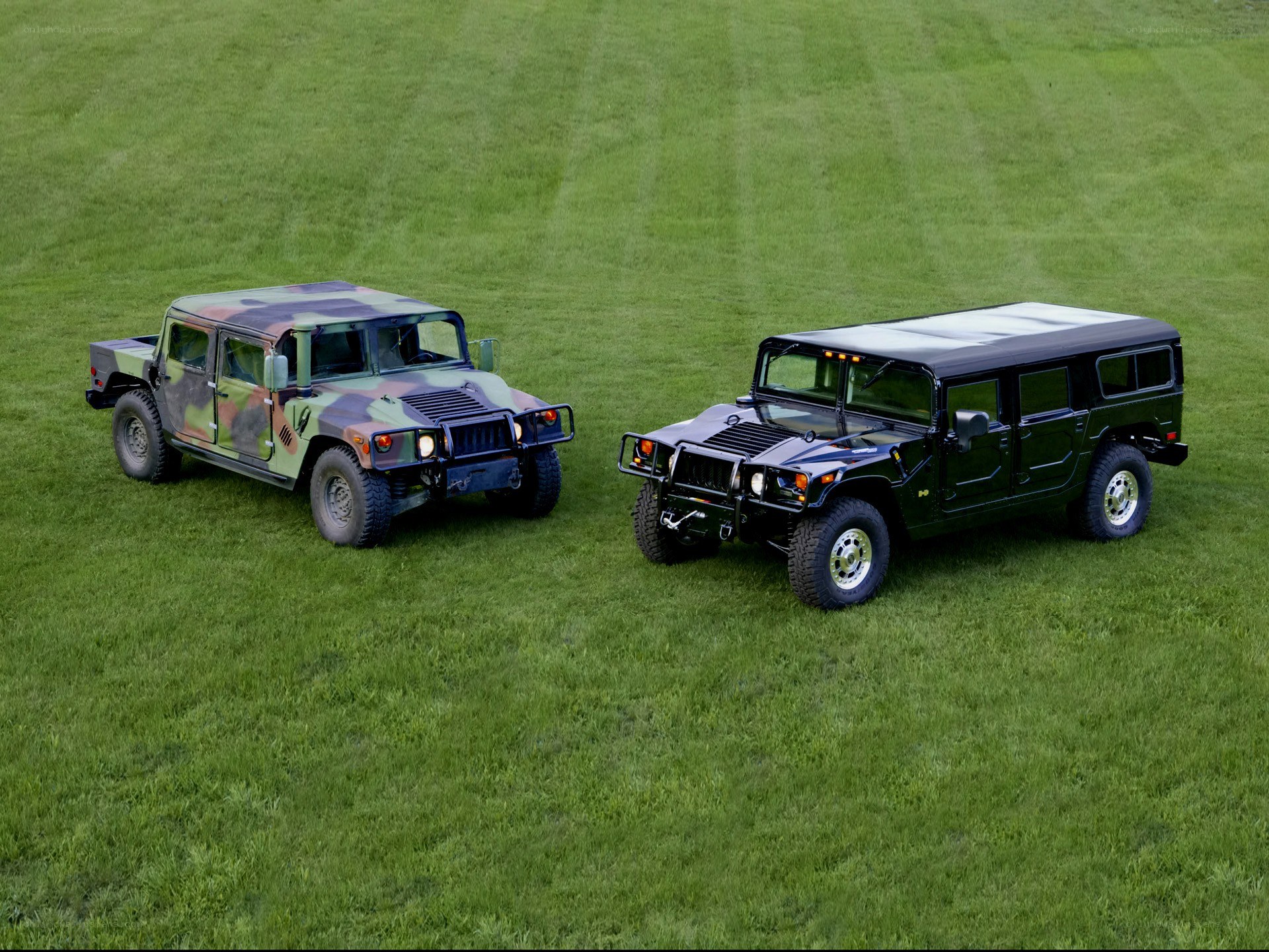 Two Humvee vehicles on grass